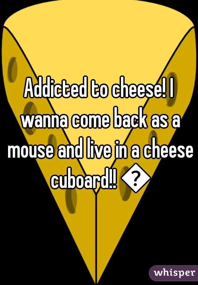 Addicted to cheese! I wanna come back as a mouse and live in a cheese cuboard!! 🐀