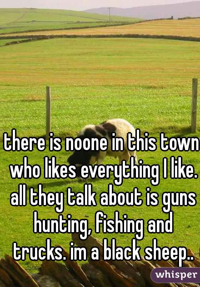 there is noone in this town who likes everything I like. all they talk about is guns hunting, fishing and trucks. im a black sheep..