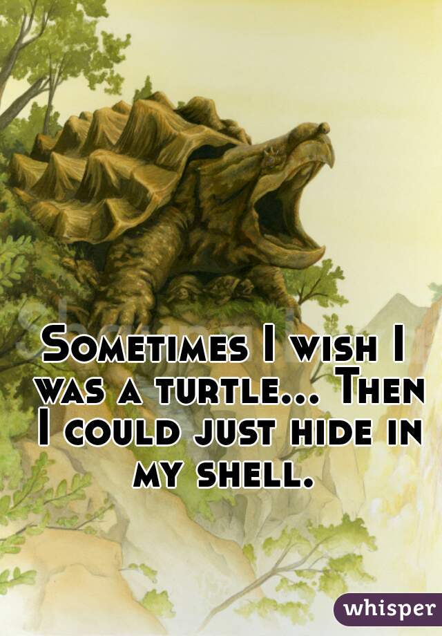 Sometimes I wish I was a turtle... Then I could just hide in my shell. 