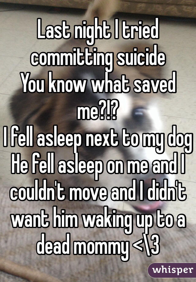 Last night I tried committing suicide 
You know what saved me?!? 
I fell asleep next to my dog 
He fell asleep on me and I couldn't move and I didn't want him waking up to a dead mommy <\3 