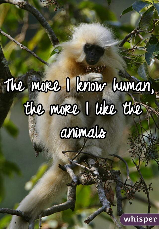 The more I know human, the more I like the animals