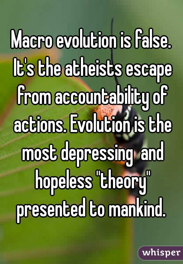 Macro evolution is false. It's the atheists escape from accountability of actions. Evolution is the most depressing  and hopeless "theory" presented to mankind. 