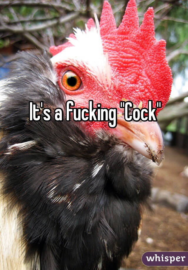 It's a fucking "Cock"