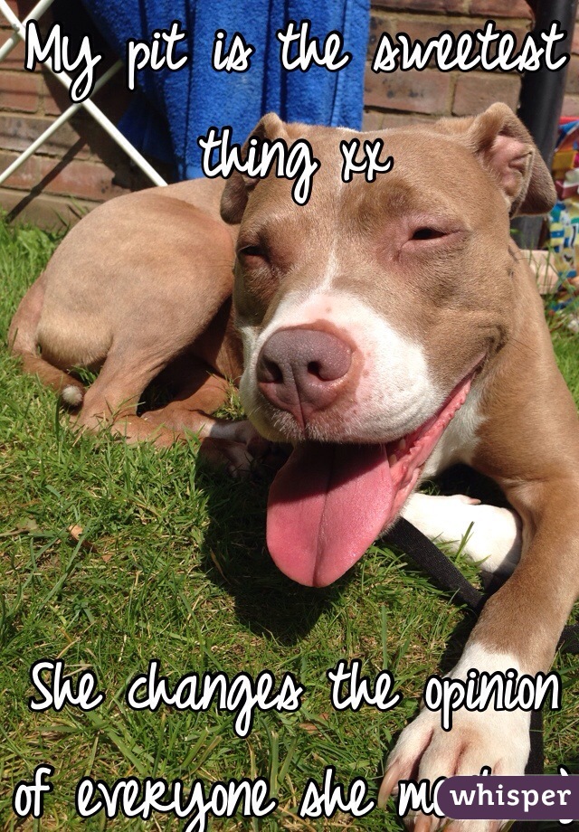 My pit is the sweetest thing xx




She changes the opinion of everyone she meets :)