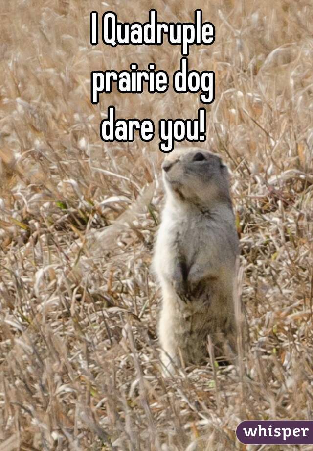 I Quadruple 
prairie dog 
dare you! 
