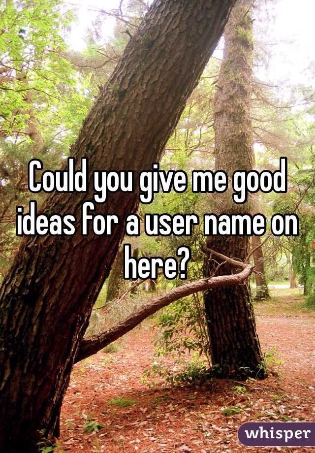 Could you give me good ideas for a user name on here?