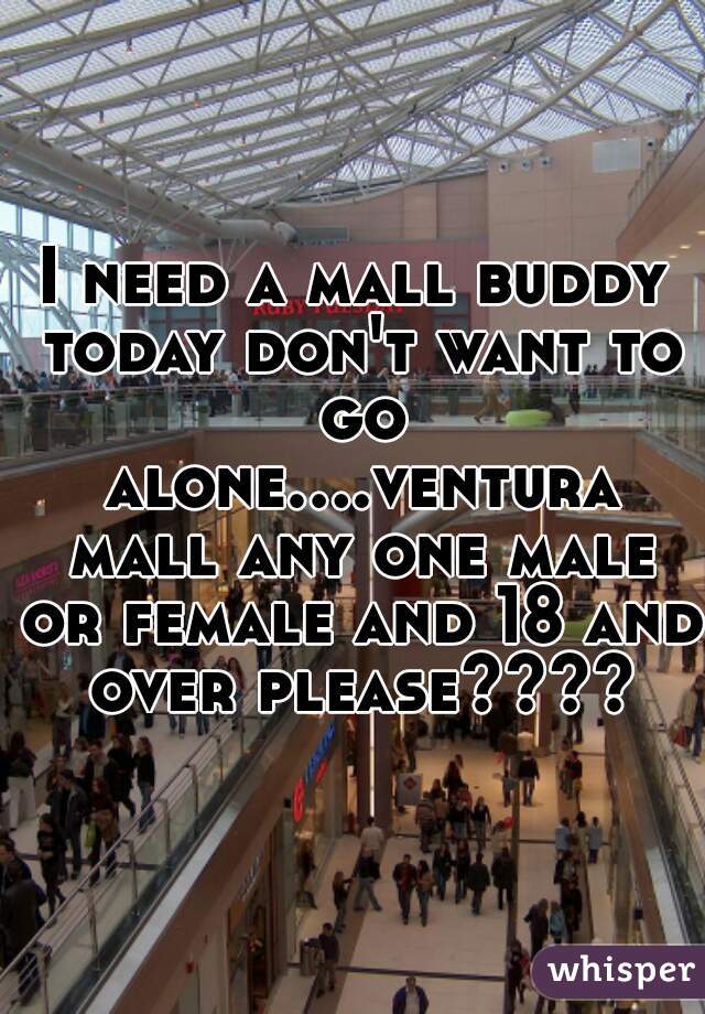 I need a mall buddy today don't want to go alone....ventura mall any one male or female and 18 and over please????