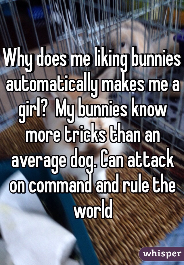 Why does me liking bunnies automatically makes me a girl?  My bunnies know more tricks than an average dog. Can attack on command and rule the world   