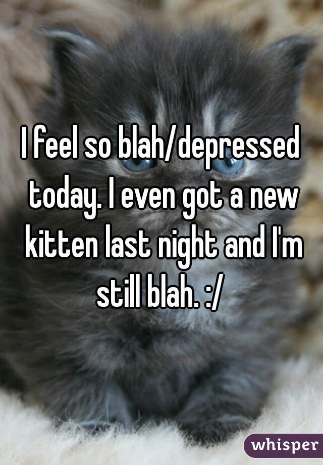 I feel so blah/depressed today. I even got a new kitten last night and I'm still blah. :/ 