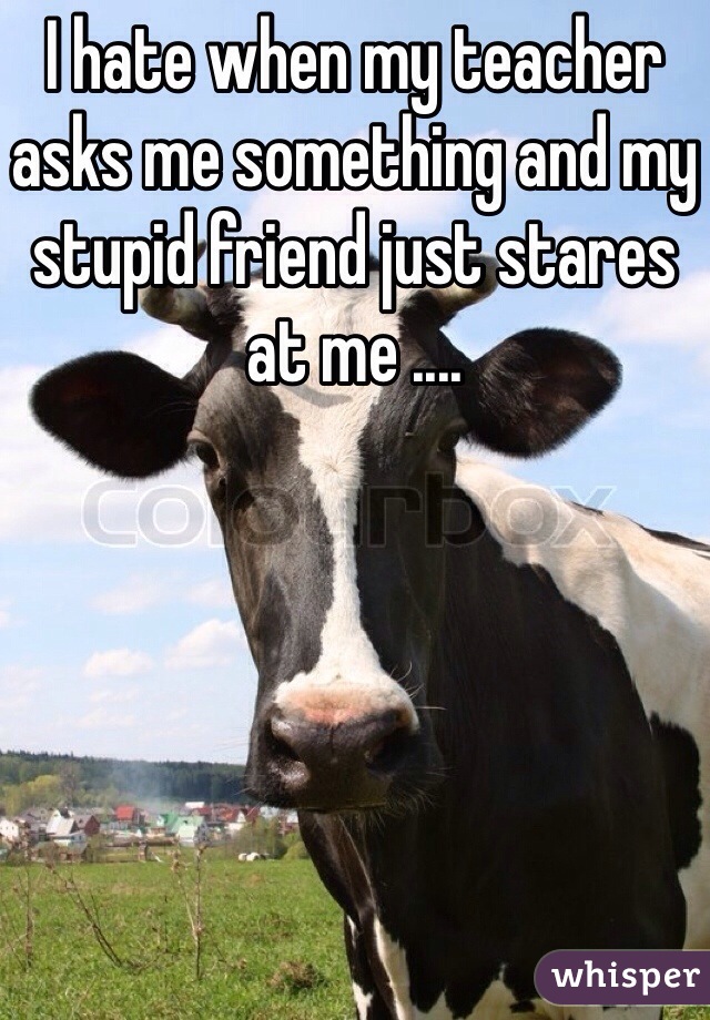 I hate when my teacher asks me something and my stupid friend just stares at me ....