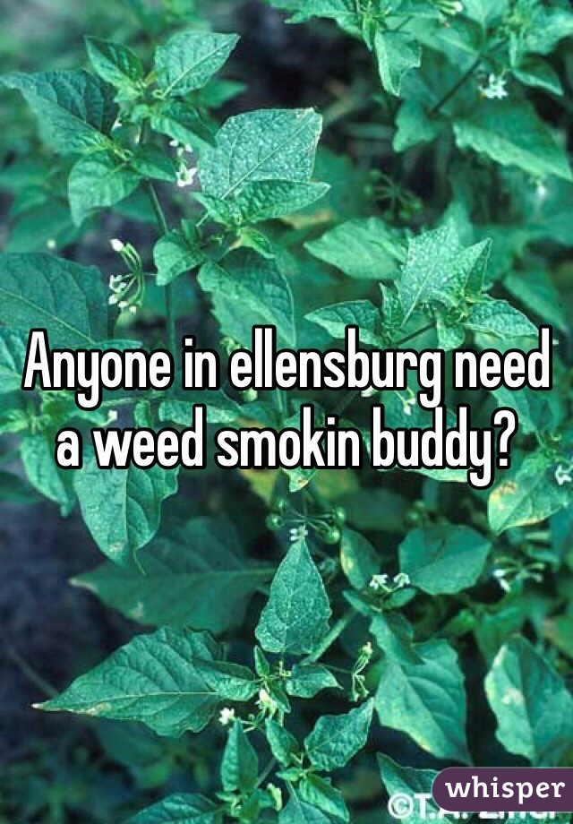 Anyone in ellensburg need a weed smokin buddy? 