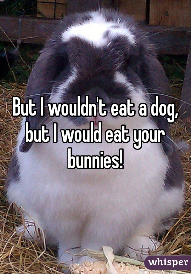 But I wouldn't eat a dog, but I would eat your bunnies!