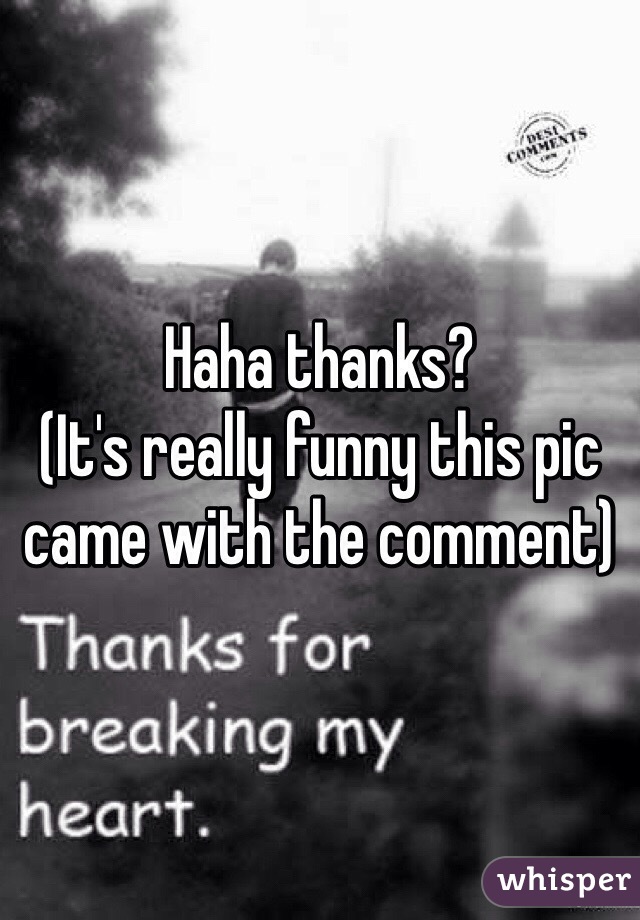 Haha thanks? 
(It's really funny this pic came with the comment) 