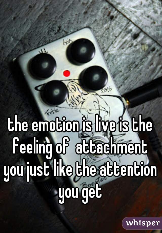 the emotion is live is the feeling of  attachment 
you just like the attention you get 