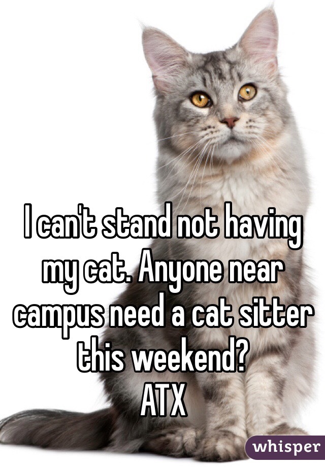 I can't stand not having my cat. Anyone near campus need a cat sitter this weekend?
ATX 