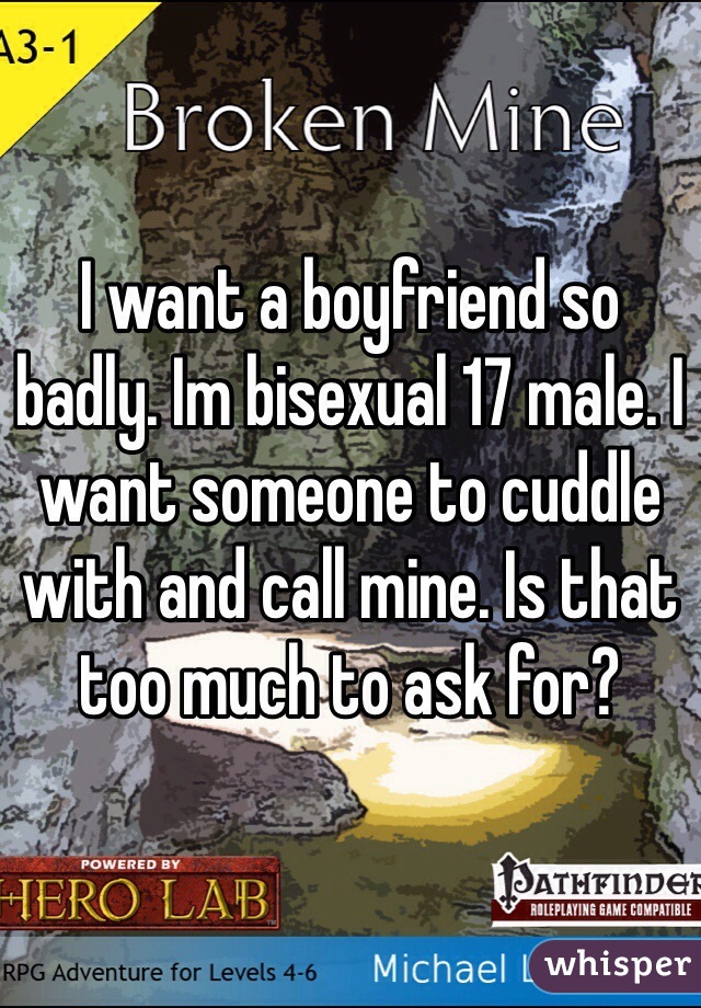 I want a boyfriend so badly. Im bisexual 17 male. I want someone to cuddle with and call mine. Is that too much to ask for?