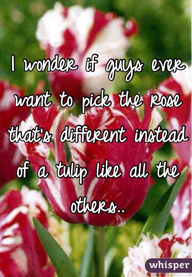 I wonder if guys ever want to pick the rose that's different instead of a tulip like all the others..