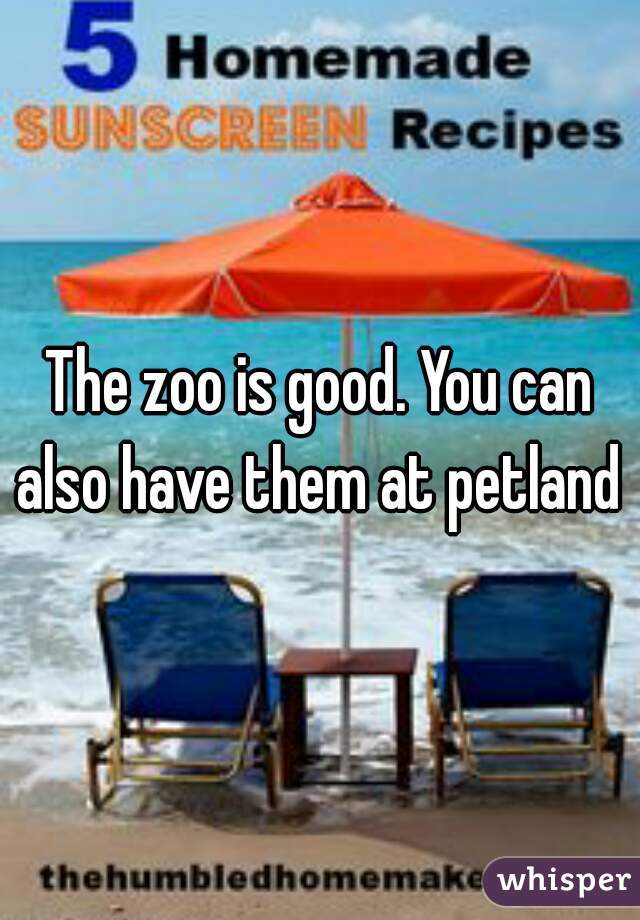 The zoo is good. You can also have them at petland 