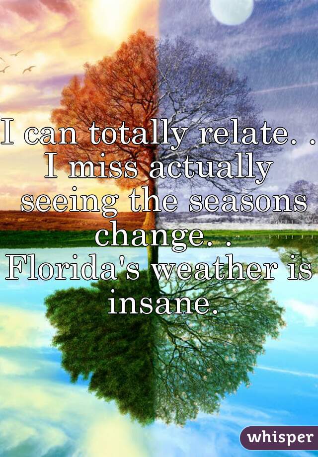 I can totally relate. .
I miss actually seeing the seasons change. .
Florida's weather is insane.