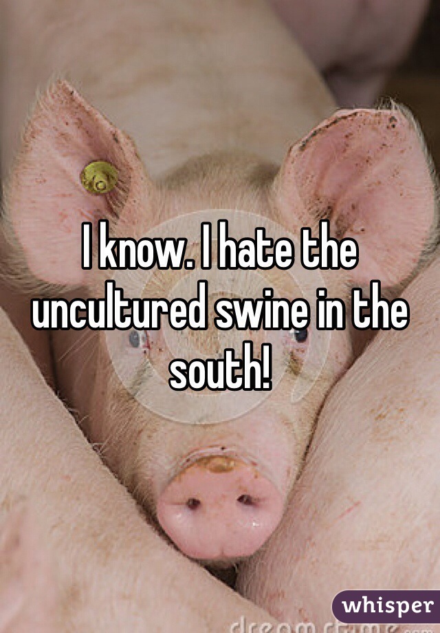 I know. I hate the uncultured swine in the south!