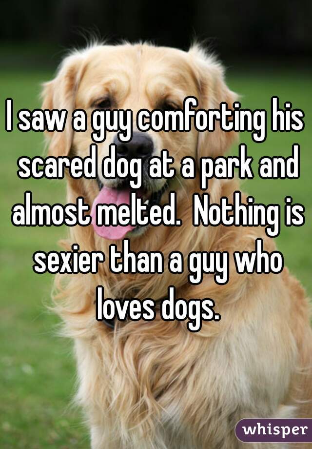I saw a guy comforting his scared dog at a park and almost melted.  Nothing is sexier than a guy who loves dogs.