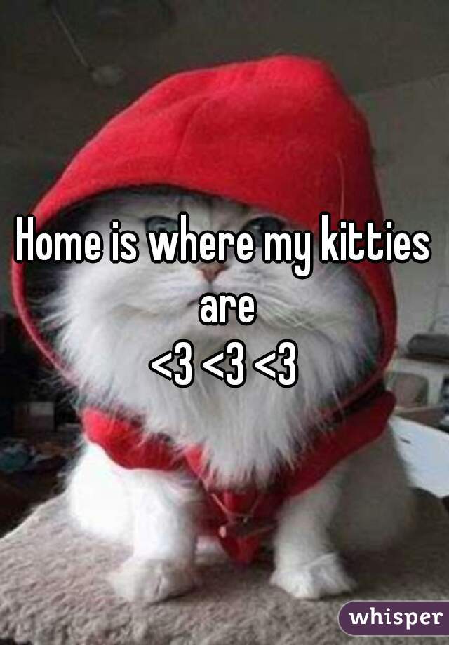 Home is where my kitties are
<3 <3 <3
