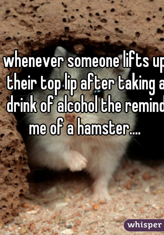 whenever someone lifts up their top lip after taking a drink of alcohol the remind me of a hamster.... 