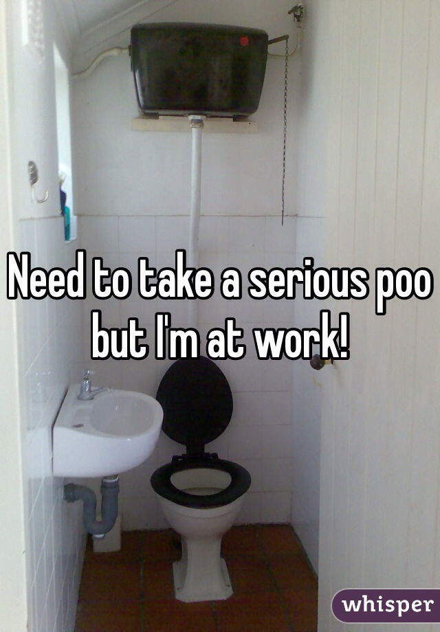 Need to take a serious poo but I'm at work!