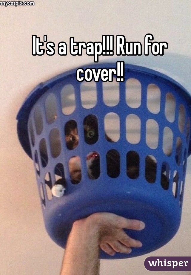 It's a trap!!! Run for cover!!