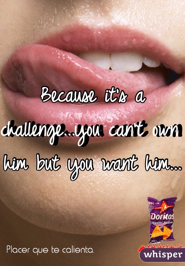 Because it's a challenge...you can't own him but you want him...