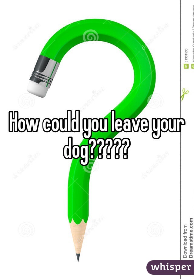 How could you leave your dog?????