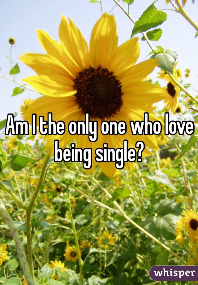 Am I the only one who love being single?