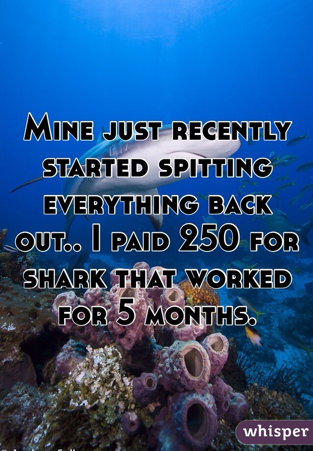 Mine just recently started spitting everything back out.. I paid 250 for shark that worked for 5 months. 