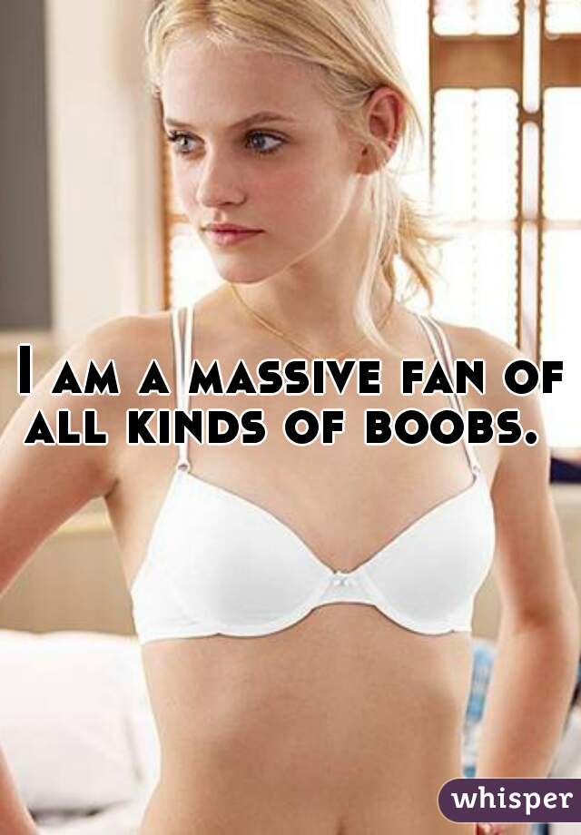 I am a massive fan of all kinds of boobs.  
