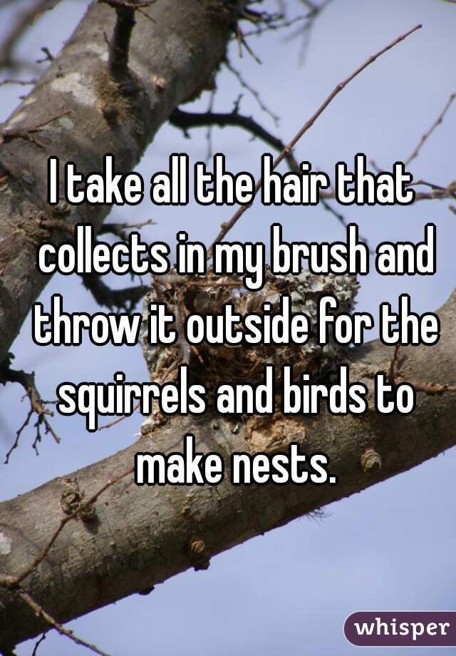 I take all the hair that collects in my brush and throw it outside for the squirrels and birds to make nests.