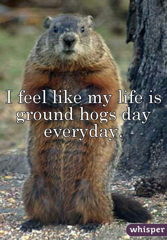 I feel like my life is
ground hogs day everyday. 