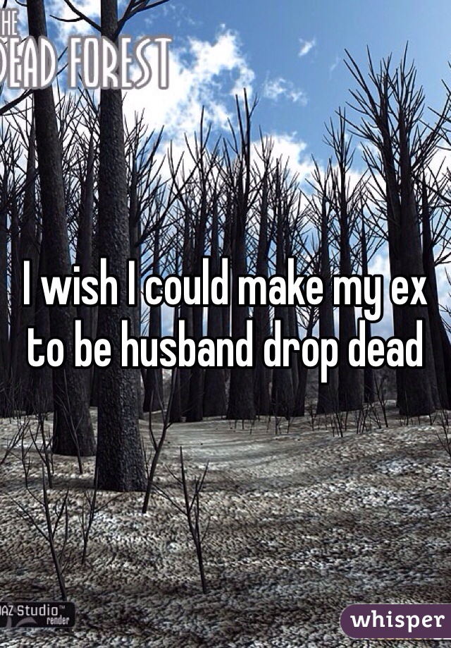 I wish I could make my ex to be husband drop dead