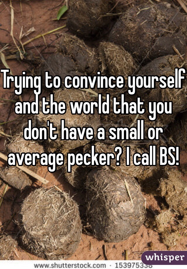 Trying to convince yourself and the world that you don't have a small or average pecker? I call BS!