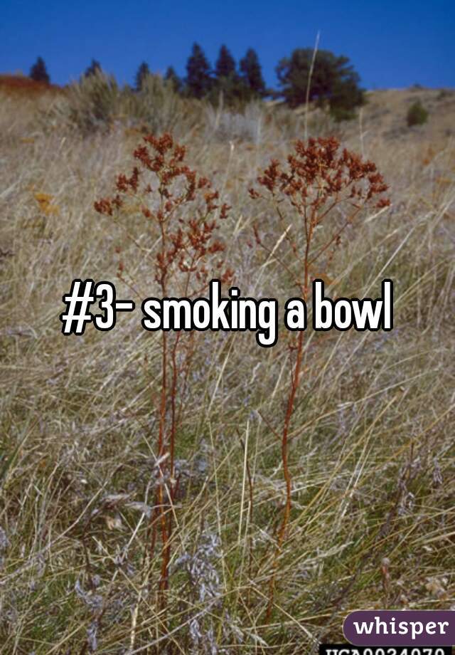 #3- smoking a bowl