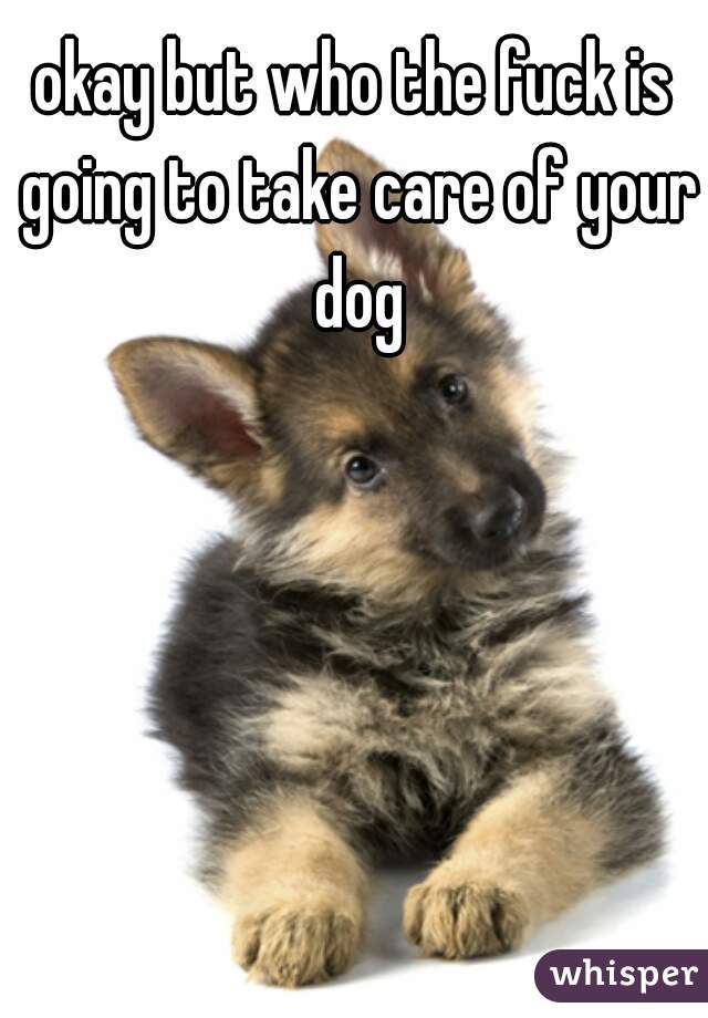 okay but who the fuck is going to take care of your dog