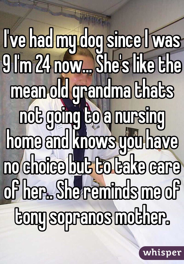 I've had my dog since I was 9 I'm 24 now... She's like the mean old grandma thats not going to a nursing home and knows you have no choice but to take care of her.. She reminds me of tony sopranos mother.