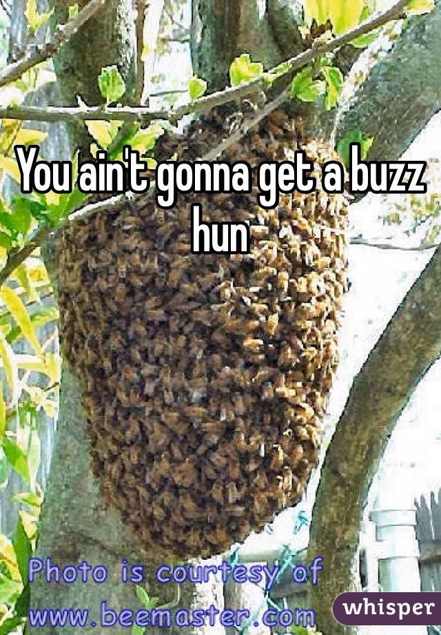 You ain't gonna get a buzz hun