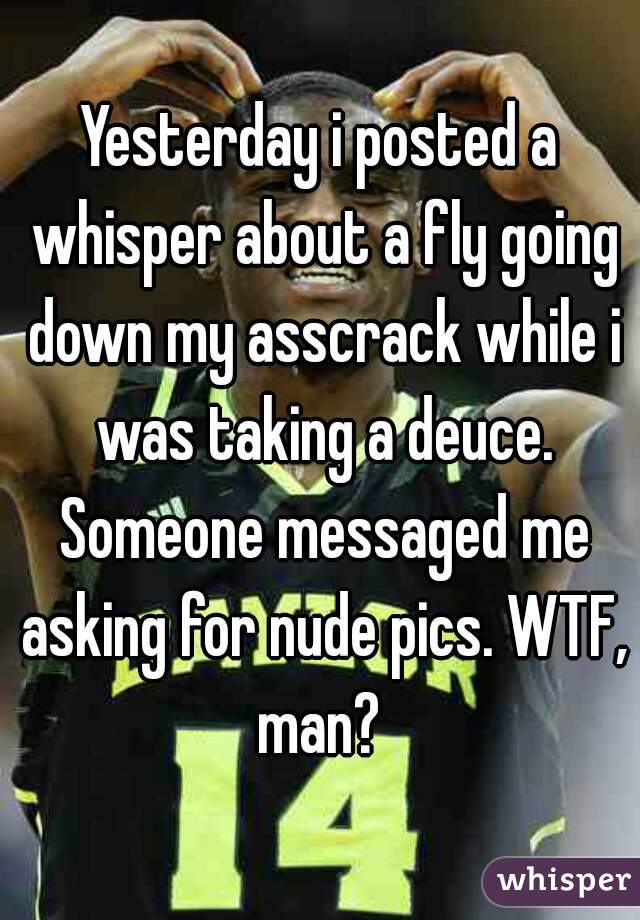 Yesterday i posted a whisper about a fly going down my asscrack while i was taking a deuce. Someone messaged me asking for nude pics. WTF, man? 