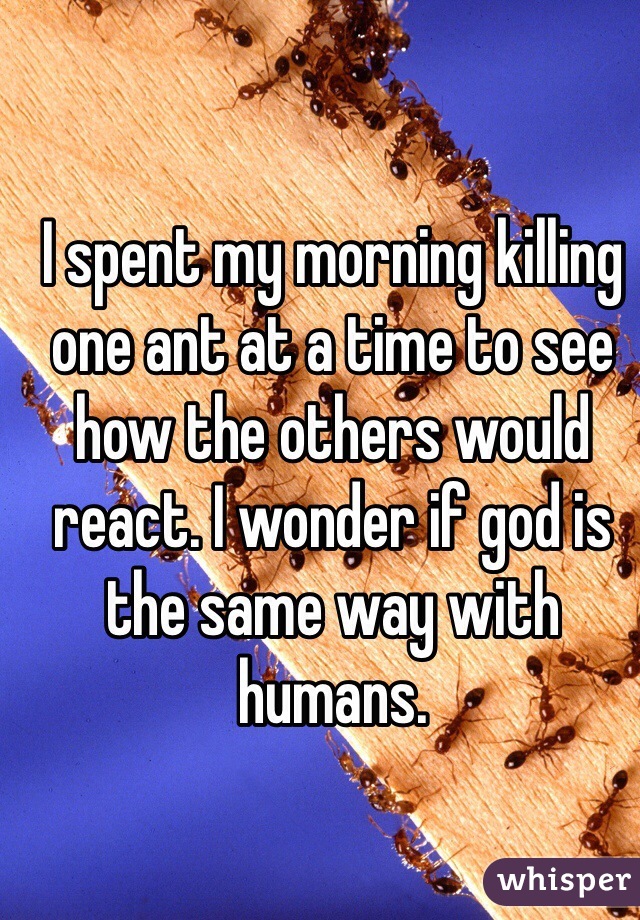 I spent my morning killing one ant at a time to see how the others would react. I wonder if god is the same way with humans. 