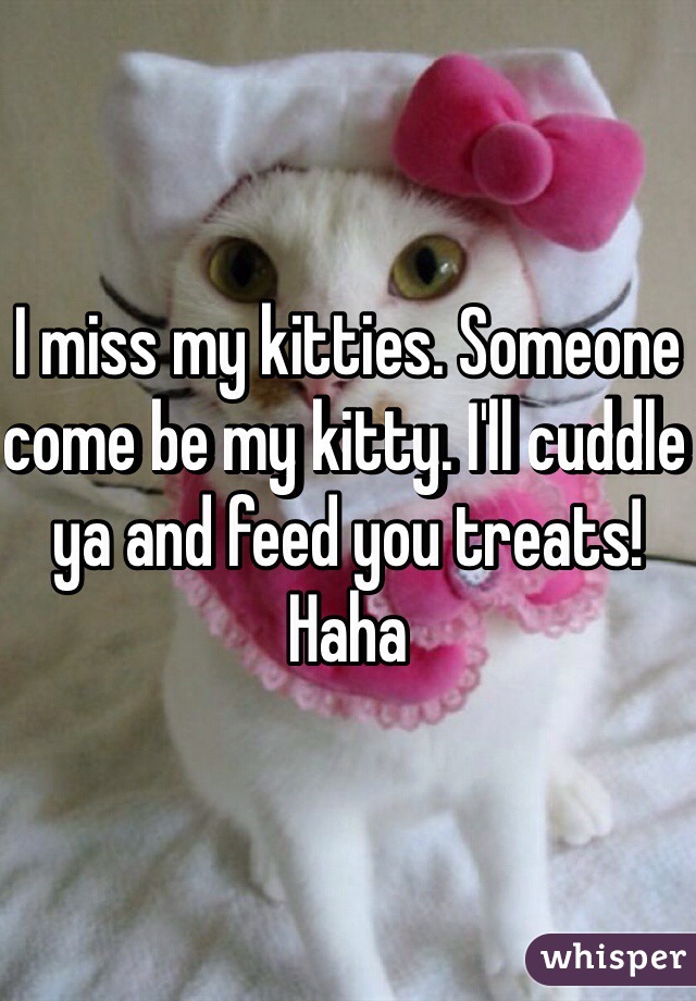 I miss my kitties. Someone come be my kitty. I'll cuddle ya and feed you treats! Haha