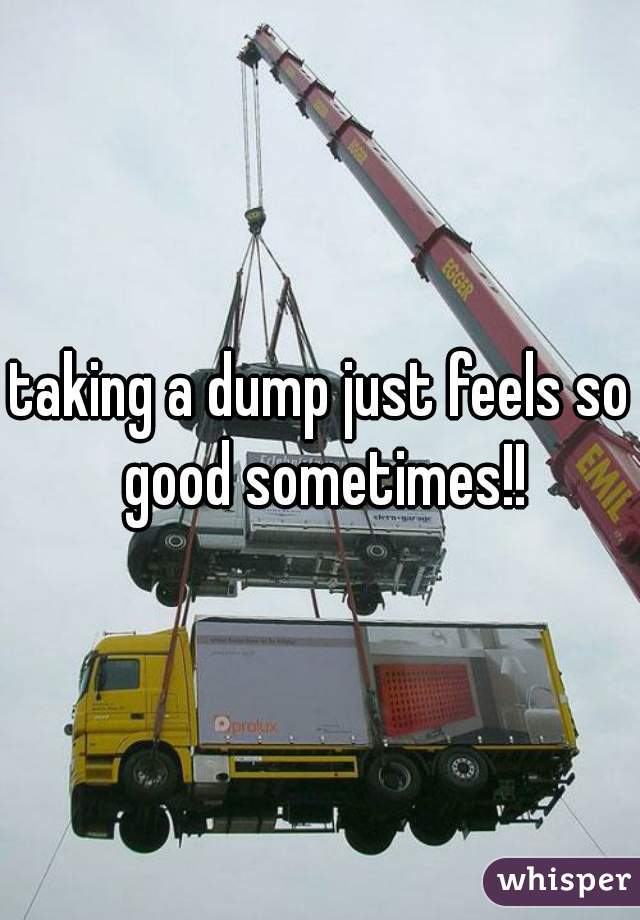 taking a dump just feels so good sometimes!!