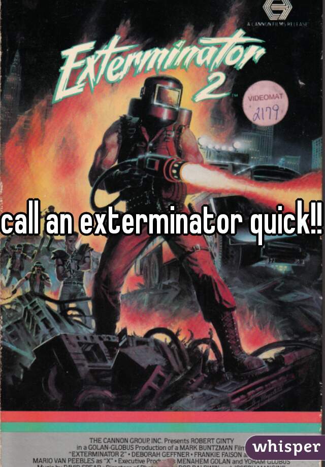 call an exterminator quick!!