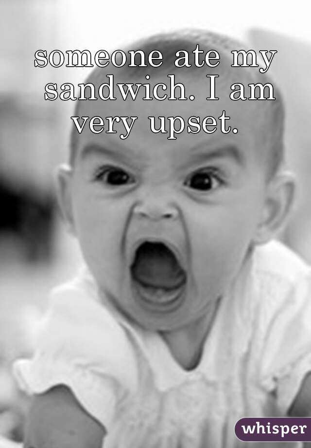 someone ate my sandwich. I am very upset. 
