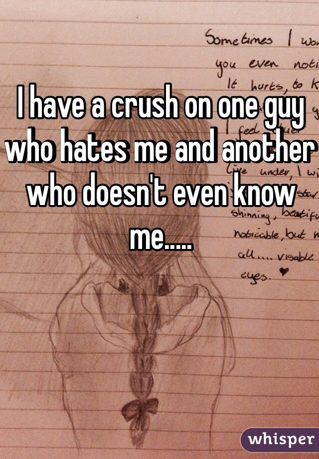 I have a crush on one guy who hates me and another who doesn't even know me.....