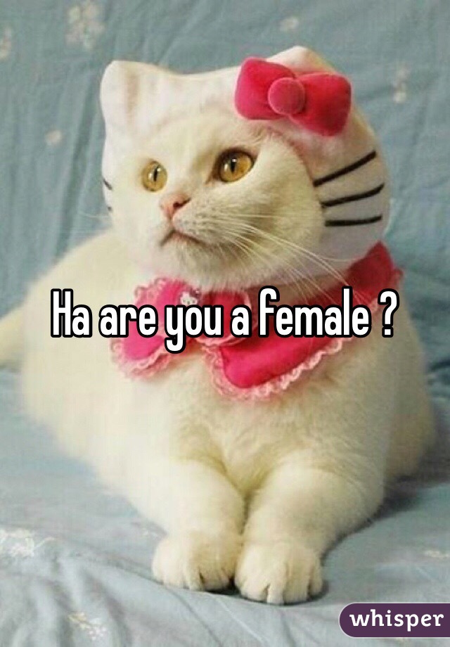Ha are you a female ?